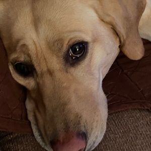 Meet your Posher, Staci